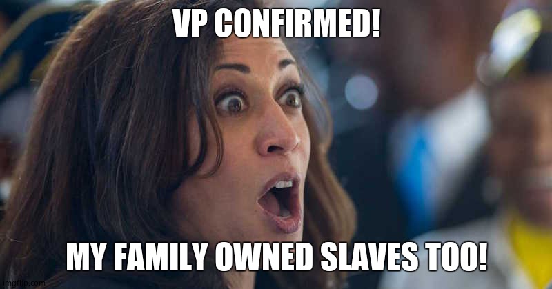 kamala harriss | VP CONFIRMED! MY FAMILY OWNED SLAVES TOO! | image tagged in kamala harriss | made w/ Imgflip meme maker