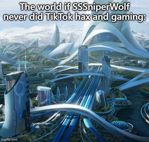 The world if | The world if SSSniperWolf never did TikTok hax and gaming: | image tagged in the world if | made w/ Imgflip meme maker