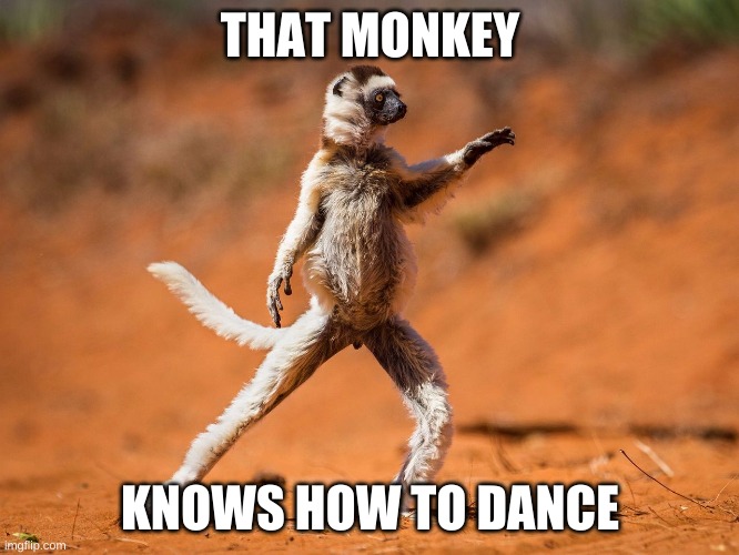 Dancing monkey | THAT MONKEY; KNOWS HOW TO DANCE | image tagged in dancing monkey | made w/ Imgflip meme maker