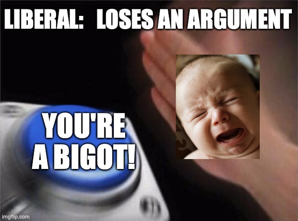 Blank Nut Button Meme | LIBERAL:   LOSES AN ARGUMENT; YOU'RE
A BIGOT! | image tagged in blank nut button,snowflakes,crybaby,facts and logic,liberals,bigotry | made w/ Imgflip meme maker