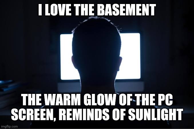 I LOVE THE BASEMENT THE WARM GLOW OF THE PC SCREEN, REMINDS OF SUNLIGHT | made w/ Imgflip meme maker