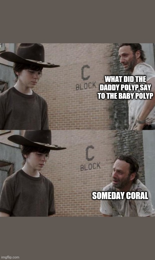 Rick and Carl Meme | WHAT DID THE DADDY POLYP SAY TO THE BABY POLYP; SOMEDAY CORAL | image tagged in memes,rick and carl | made w/ Imgflip meme maker
