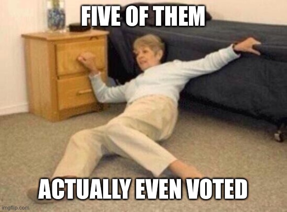 woman falling in shock | FIVE OF THEM ACTUALLY EVEN VOTED | image tagged in woman falling in shock | made w/ Imgflip meme maker