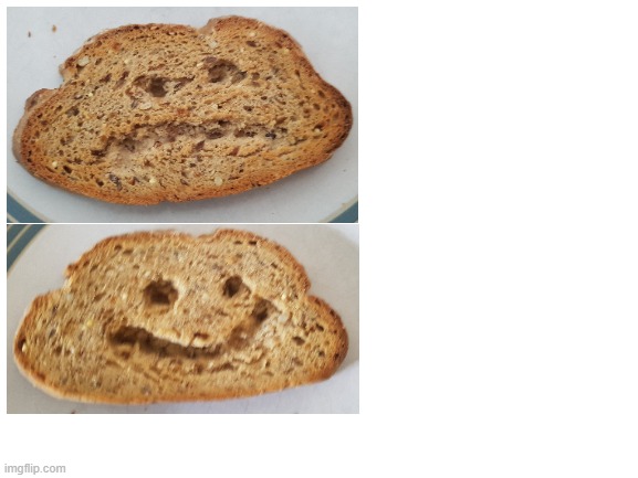 Toast meme template | image tagged in blank white template,toast,bread | made w/ Imgflip meme maker