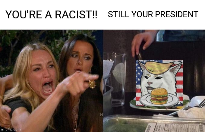 Woman Yelling At Cat | YOU'RE A RACIST!! STILL YOUR PRESIDENT | image tagged in memes,woman yelling at cat | made w/ Imgflip meme maker