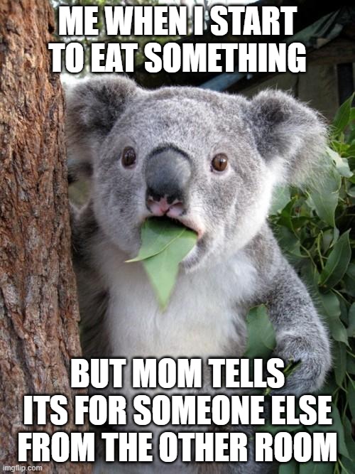 Surprised Koala Meme | ME WHEN I START TO EAT SOMETHING; BUT MOM TELLS ITS FOR SOMEONE ELSE FROM THE OTHER ROOM | image tagged in memes,surprised koala | made w/ Imgflip meme maker