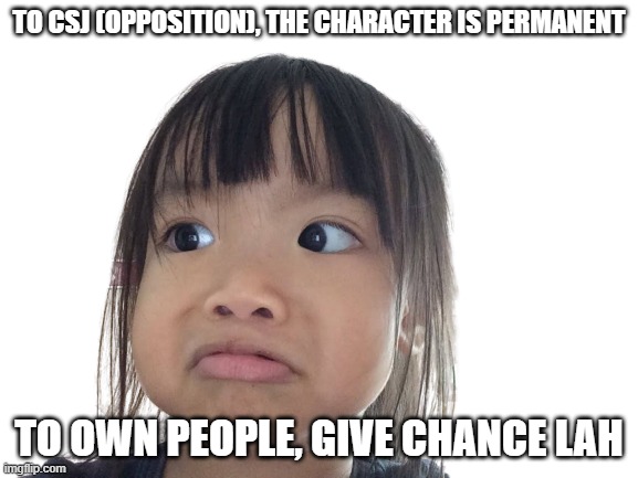 Disgusted face | TO CSJ (OPPOSITION), THE CHARACTER IS PERMANENT; TO OWN PEOPLE, GIVE CHANCE LAH | image tagged in disgusted | made w/ Imgflip meme maker