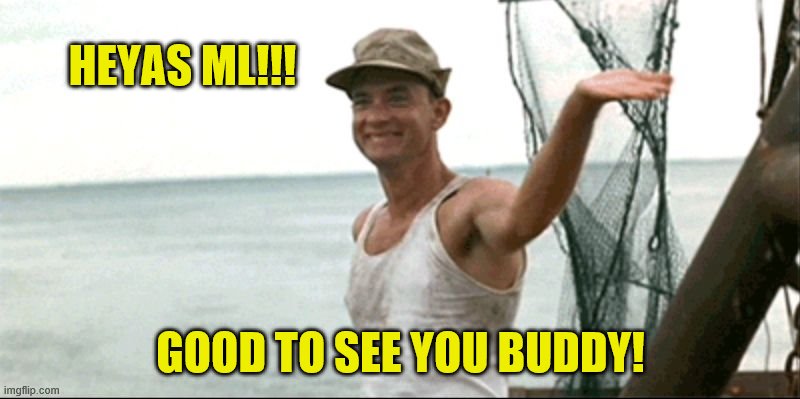 Forest Gump waving | HEYAS ML!!! GOOD TO SEE YOU BUDDY! | image tagged in forest gump waving | made w/ Imgflip meme maker
