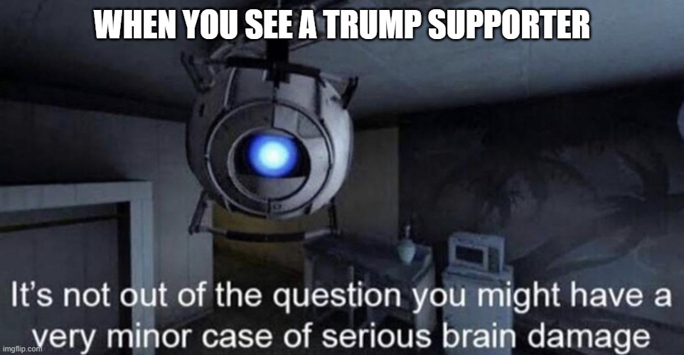 It’s not out of the question you might have a very minor case... | WHEN YOU SEE A TRUMP SUPPORTER | image tagged in its not out of the question you might have a very minor case,brain,brain damage,donald trump,trump,trump supporters | made w/ Imgflip meme maker