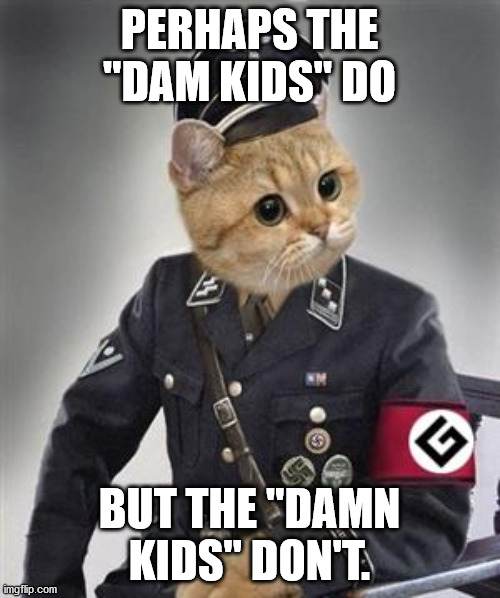 Grammar Nazi Cat | PERHAPS THE "DAM KIDS" DO BUT THE "DAMN KIDS" DON'T. | image tagged in grammar nazi cat | made w/ Imgflip meme maker