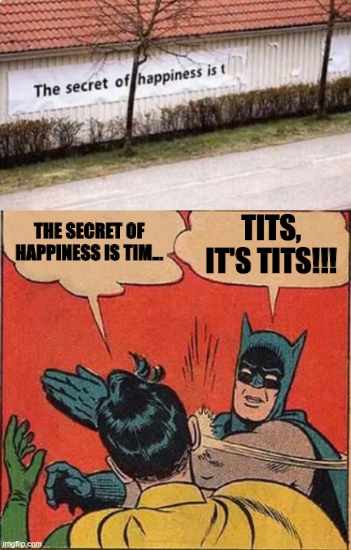 That's What Makes Me Happy | TITS, IT'S TITS!!! THE SECRET OF HAPPINESS IS TIM... | image tagged in memes,batman slapping robin | made w/ Imgflip meme maker