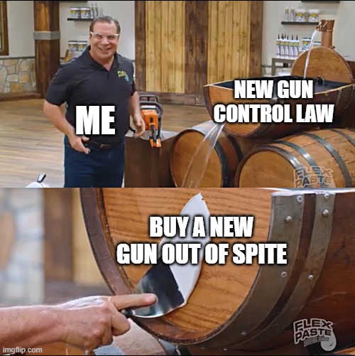 Flex Paste | ME; NEW GUN CONTROL LAW; BUY A NEW GUN OUT OF SPITE | image tagged in flex paste | made w/ Imgflip meme maker