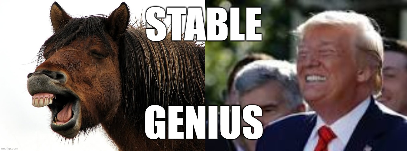 stable genius | STABLE; GENIUS | image tagged in trump,rebooblicans,trumpanzees,loser | made w/ Imgflip meme maker