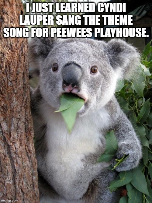 Surprised Koala Meme | I JUST LEARNED CYNDI LAUPER SANG THE THEME SONG FOR PEEWEES PLAYHOUSE. | image tagged in memes,surprised koala | made w/ Imgflip meme maker