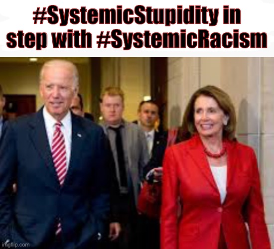 #SystemicStupidity In Step With #SystemicRacism | #SystemicStupidity in step with #SystemicRacism | image tagged in political meme,nancy pelosi,joe biden | made w/ Imgflip meme maker