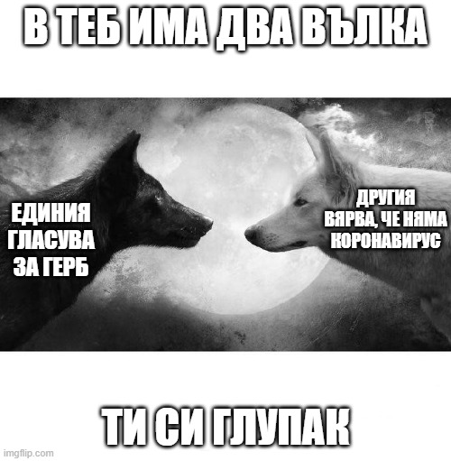 two wolves meme | В ТЕБ ИМА ДВА ВЪЛКА; ДРУГИЯ ВЯРВА, ЧЕ НЯМА КОРОНАВИРУС; ЕДИНИЯ ГЛАСУВА ЗА ГЕРБ; ТИ СИ ГЛУПАК | image tagged in two wolves meme | made w/ Imgflip meme maker