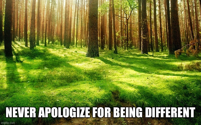 NEVER APOLOGIZE FOR BEING DIFFERENT | image tagged in memes,motivational | made w/ Imgflip meme maker
