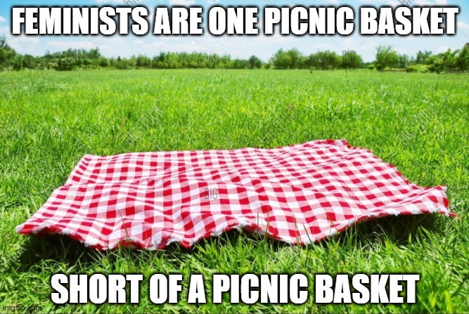 Feminism Is No Picnic | image tagged in feminism is cancer,feminism,feminazi,anti-feminism,feminist | made w/ Imgflip meme maker