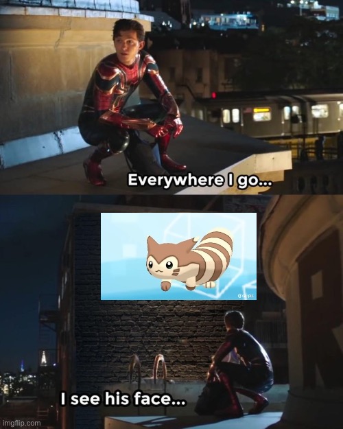 No more | image tagged in everywhere i go i see his face,please stop furret | made w/ Imgflip meme maker
