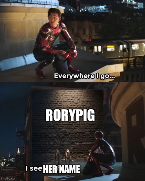 Everywhere I go I see his face | RORYPIG; HER NAME | image tagged in everywhere i go i see his face | made w/ Imgflip meme maker