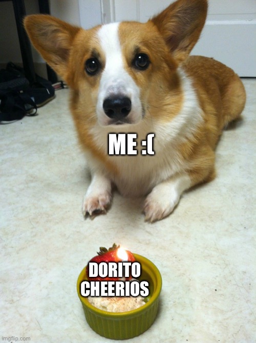 Sad Corgi | DORITO CHEERIOS ME :( | image tagged in sad corgi | made w/ Imgflip meme maker