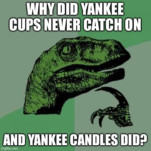 Philosoraptor Meme | WHY DID YANKEE CUPS NEVER CATCH ON AND YANKEE CANDLES DID? | image tagged in memes,philosoraptor | made w/ Imgflip meme maker