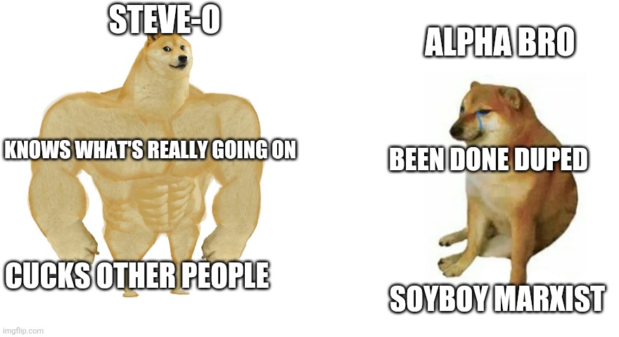 Buff Doge vs Crying Cheems | STEVE-O; ALPHA BRO; KNOWS WHAT'S REALLY GOING ON; BEEN DONE DUPED; CUCKS OTHER PEOPLE; SOYBOY MARXIST | image tagged in buff doge vs crying cheems | made w/ Imgflip meme maker