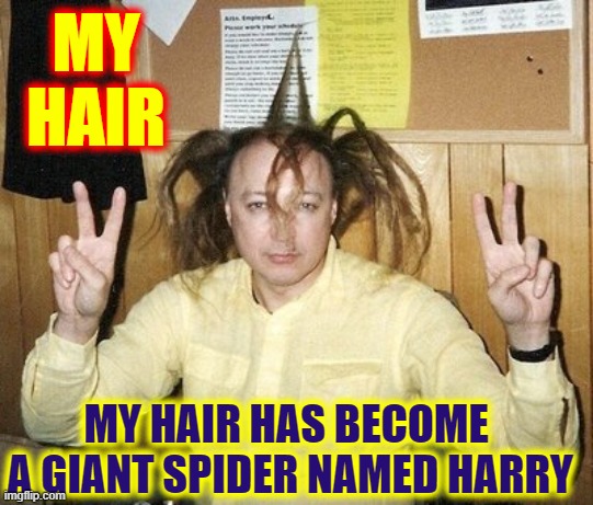You know you're having a Bad Hair Day when... | MY HAIR MY HAIR HAS BECOME 
A GIANT SPIDER NAMED HARRY | image tagged in vince vance,bad hair day,bed head,tall hair dude,tall hair,memes | made w/ Imgflip meme maker