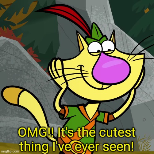OMG! (Nature Cat) | OMG!! It's the cutest thing I've ever seen! | image tagged in omg nature cat | made w/ Imgflip meme maker