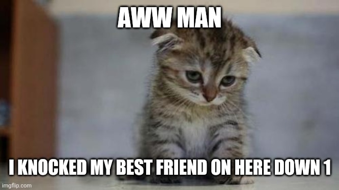 Sad kitten | AWW MAN I KNOCKED MY BEST FRIEND ON HERE DOWN 1 | image tagged in sad kitten | made w/ Imgflip meme maker