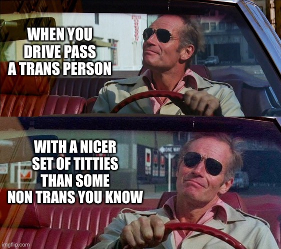Some ppl know how to shop, got to hand it to ppl. They got talent by the hand fulls lol | WHEN YOU DRIVE PASS A TRANS PERSON; WITH A NICER SET OF TITTIES THAN SOME NON TRANS YOU KNOW | image tagged in random | made w/ Imgflip meme maker