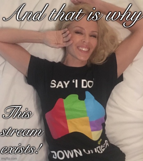 Kylie gay | And that is why This stream exists! | image tagged in kylie gay | made w/ Imgflip meme maker