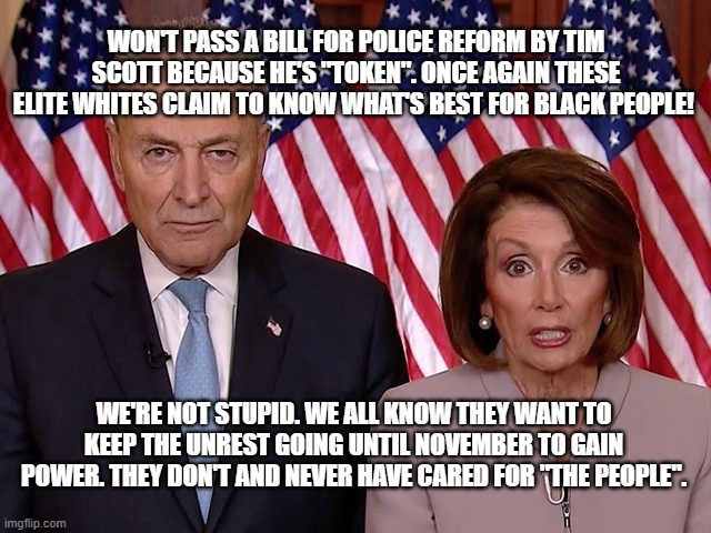 Pelosi Schumer | WON'T PASS A BILL FOR POLICE REFORM BY TIM SCOTT BECAUSE HE'S "TOKEN". ONCE AGAIN THESE ELITE WHITES CLAIM TO KNOW WHAT'S BEST FOR BLACK PEOPLE! WE'RE NOT STUPID. WE ALL KNOW THEY WANT TO KEEP THE UNREST GOING UNTIL NOVEMBER TO GAIN POWER. THEY DON'T AND NEVER HAVE CARED FOR "THE PEOPLE". | image tagged in pelosi schumer | made w/ Imgflip meme maker