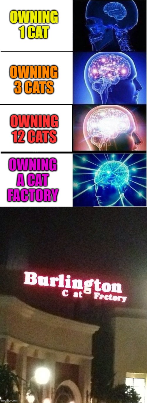 Only Thing Better Than 12 Cats Is A Cat Factory | OWNING 1 CAT; OWNING 3 CATS; OWNING 12 CATS; OWNING A CAT FACTORY | image tagged in memes,expanding brain,cats,funny cat memes | made w/ Imgflip meme maker