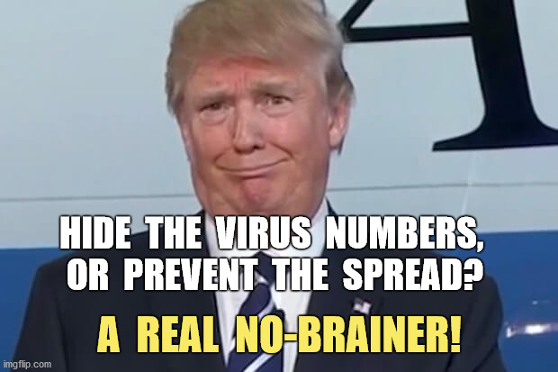 Did anyone really expect something else? | HIDE  THE  VIRUS  NUMBERS, 
OR  PREVENT  THE  SPREAD? A  REAL  NO-BRAINER! | image tagged in donald trump,covid-19,delusion,pandemic,no-brainer | made w/ Imgflip meme maker