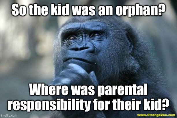 Deep Thoughts | So the kid was an orphan? Where was parental responsibility for their kid? | image tagged in deep thoughts | made w/ Imgflip meme maker