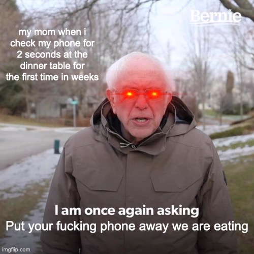 Fucking phones, am I right? | my mom when i check my phone for 2 seconds at the dinner table for the first time in weeks; Put your fucking phone away we are eating | image tagged in memes,bernie i am once again asking for your support | made w/ Imgflip meme maker
