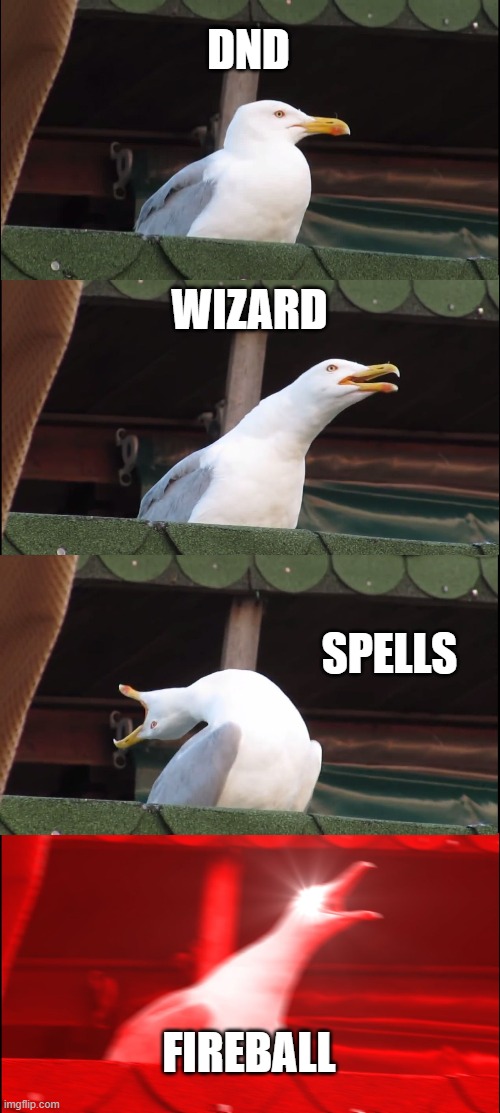 Inhaling Seagull Meme | DND; WIZARD; SPELLS; FIREBALL | image tagged in memes,inhaling seagull | made w/ Imgflip meme maker