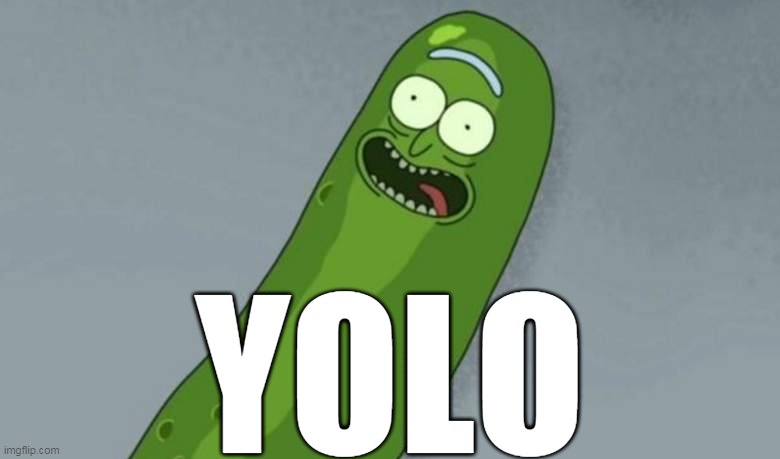 Pickle rick | YOLO | image tagged in pickle rick,yolo | made w/ Imgflip meme maker