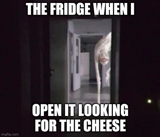 The anxious dog | THE FRIDGE WHEN I; OPEN IT LOOKING FOR THE CHEESE | image tagged in the anxious dog | made w/ Imgflip meme maker