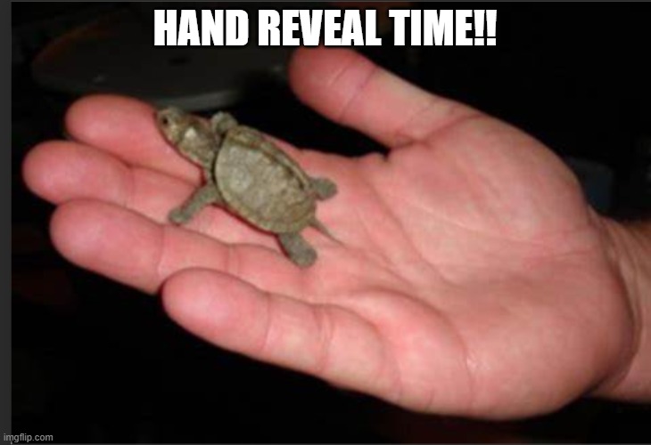 HAND REVEAL TIME!! | image tagged in hand_reveal | made w/ Imgflip meme maker