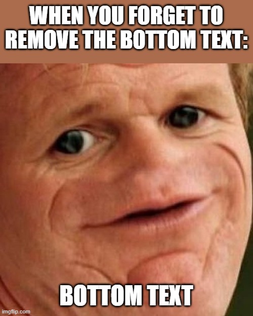 It's so annoying | WHEN YOU FORGET TO REMOVE THE BOTTOM TEXT:; BOTTOM TEXT | image tagged in sosig,memes,meme,forgetful | made w/ Imgflip meme maker