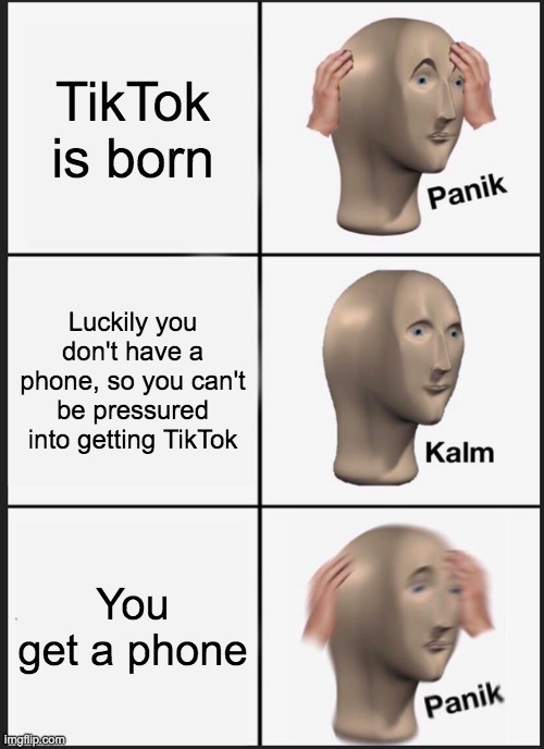 Upvote if you can relate | TikTok is born; Luckily you don't have a phone, so you can't be pressured into getting TikTok; You get a phone | image tagged in memes,panik kalm panik | made w/ Imgflip meme maker
