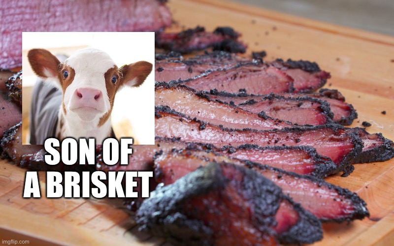 Son of a Brisket | SON OF A BRISKET | image tagged in funny memes,cows,shitty meme,brisket | made w/ Imgflip meme maker