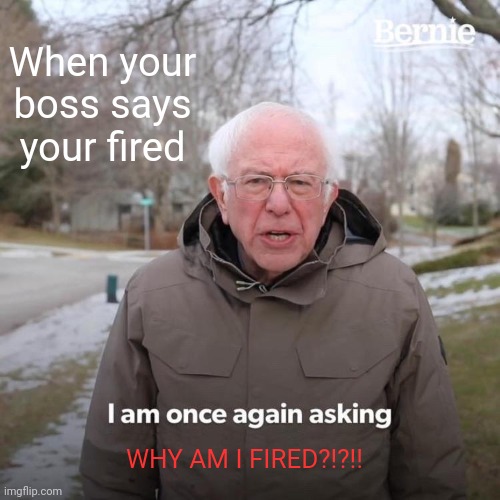 Burnie Fired | When your boss says your fired; WHY AM I FIRED?!?!! | image tagged in memes,bernie i am once again asking for your support | made w/ Imgflip meme maker