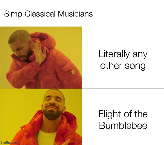 Simp Classical Musicians | image tagged in music,simple | made w/ Imgflip meme maker