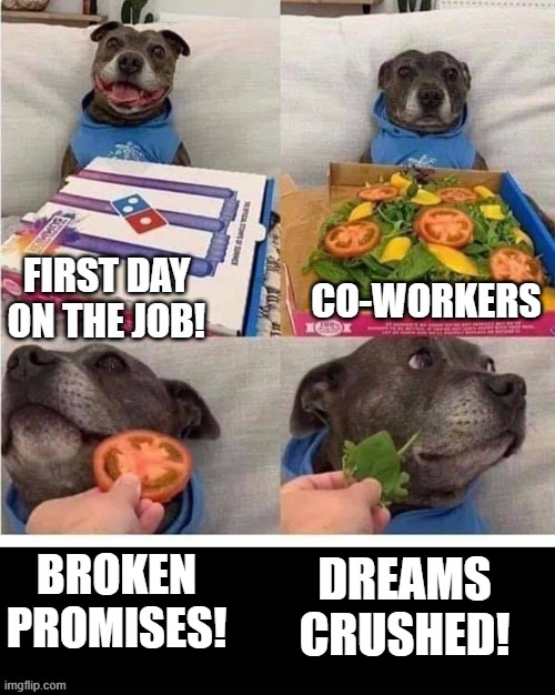First Day On The Job! | BROKEN PROMISES! DREAMS CRUSHED! | image tagged in jobs | made w/ Imgflip meme maker