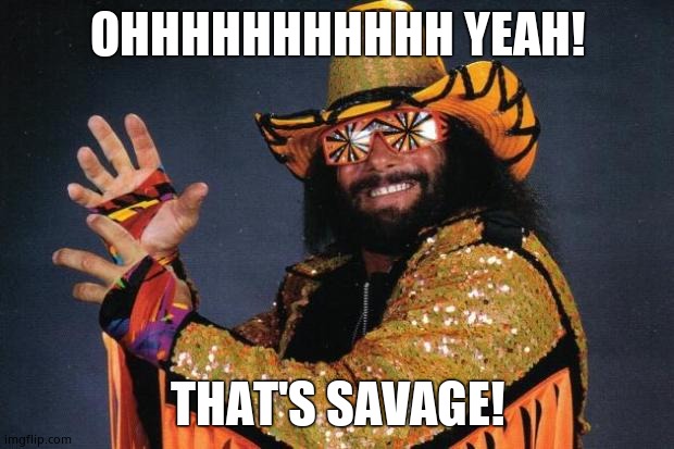 Macho Man Randy Savage | OHHHHHHHHHHH YEAH! THAT'S SAVAGE! | image tagged in macho man randy savage | made w/ Imgflip meme maker