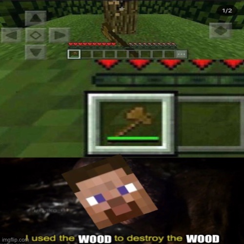 Minecraft be like | image tagged in minecraft,thanos,i used the stones to destroy the stones | made w/ Imgflip meme maker