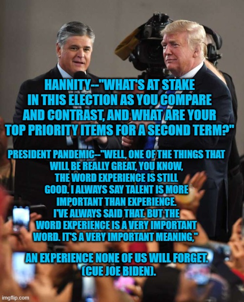 "Are You Experienced?" | PRESIDENT PANDEMIC--"WELL, ONE OF THE THINGS THAT WILL BE REALLY GREAT, YOU KNOW, THE WORD EXPERIENCE IS STILL GOOD. I ALWAYS SAY TALENT IS MORE IMPORTANT THAN EXPERIENCE. I'VE ALWAYS SAID THAT. BUT THE WORD EXPERIENCE IS A VERY IMPORTANT WORD. IT'S A VERY IMPORTANT MEANING,"; HANNITY--"WHAT'S AT STAKE IN THIS ELECTION AS YOU COMPARE AND CONTRAST, AND WHAT ARE YOUR TOP PRIORITY ITEMS FOR A SECOND TERM?"; AN EXPERIENCE NONE OF US WILL FORGET.  
(CUE JOE BIDEN). | image tagged in politics | made w/ Imgflip meme maker
